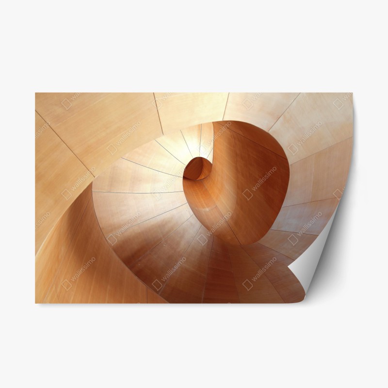 Repositionierbarer Aufkleber ruhiger grüner waldpfad – Wallnifity®