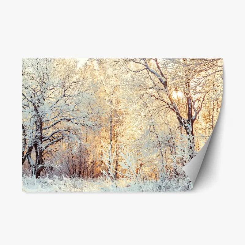 Repositionierbarer Aufkleber wintersonne im verschneiten wald – Wallnifity®