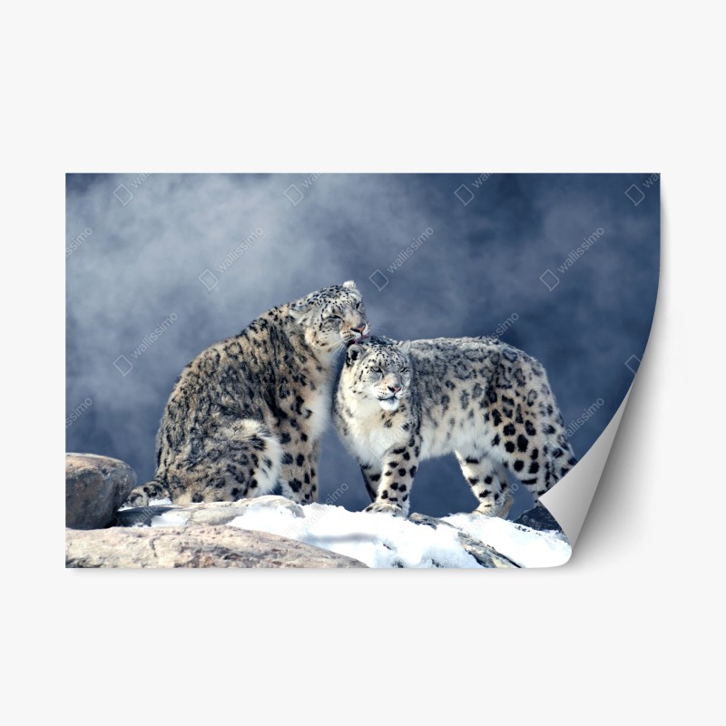 Repositionierbarer Aufkleber tropischer türkisstrand – Wallnifity®