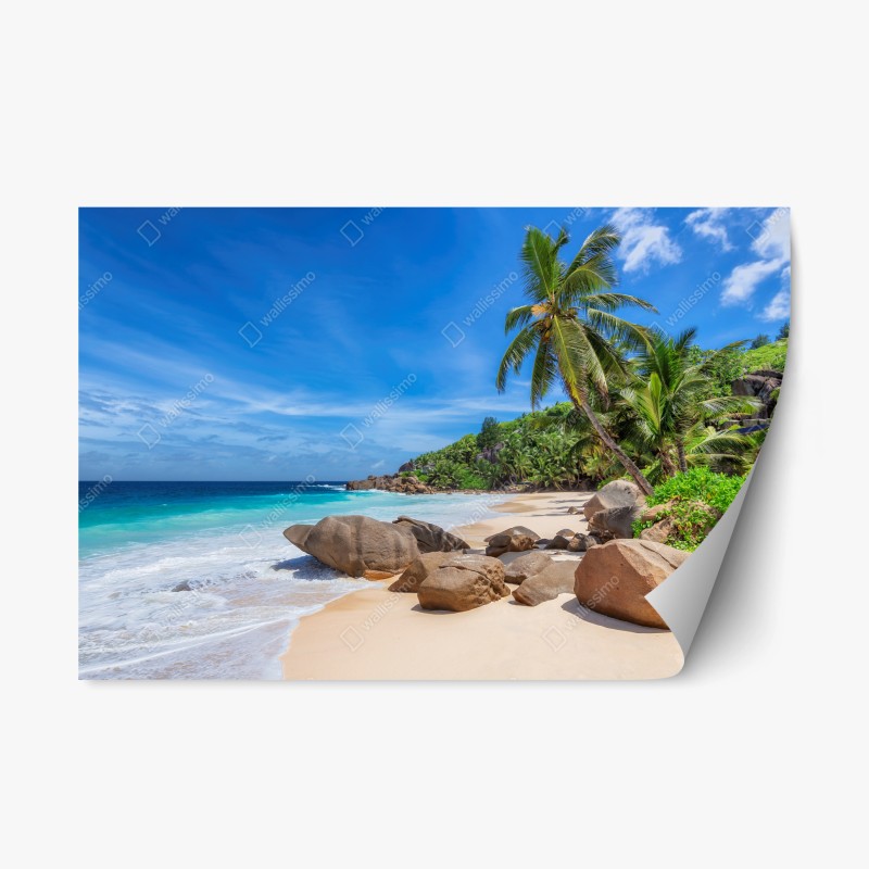 Repositionierbarer Aufkleber ruhiger grüner waldpfad – Wallnifity®