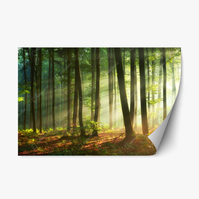 Repositionierbarer Aufkleber Brooklyn Bridge und New York skyline in graustufen – Wallnifity®