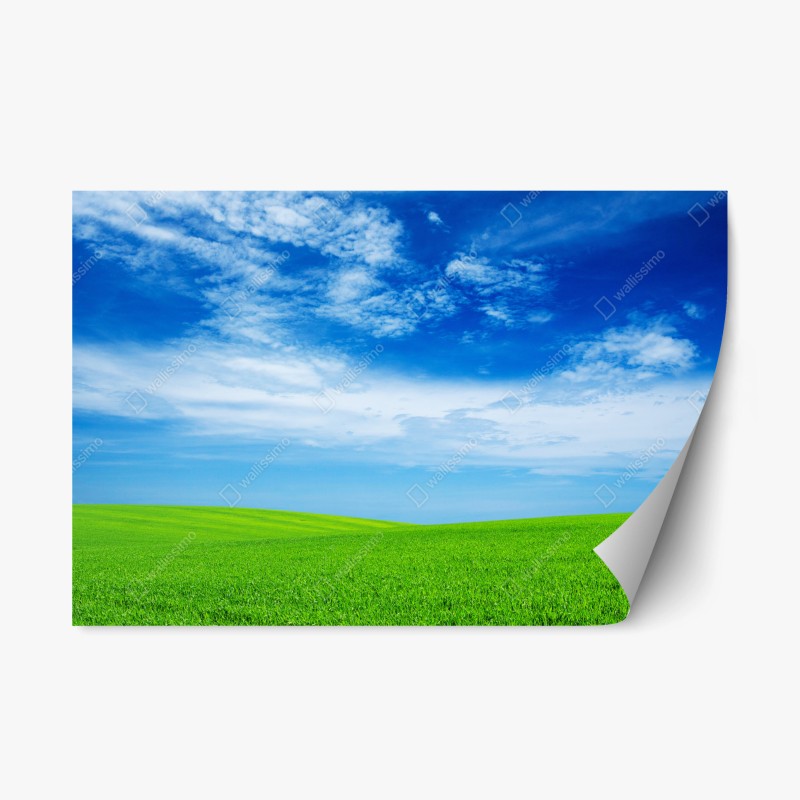 Repositionierbarer Aufkleber verspieltes sportmuster auf dunkelblauem hintergrund – Wallnifity®