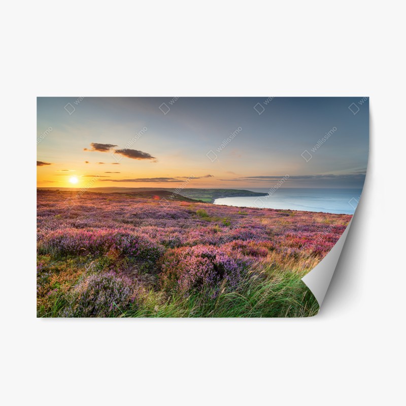 Repositionierbarer Aufkleber geometrisches art-déco fächermuster in warmen rot- und violetttönen – Wallnifity®