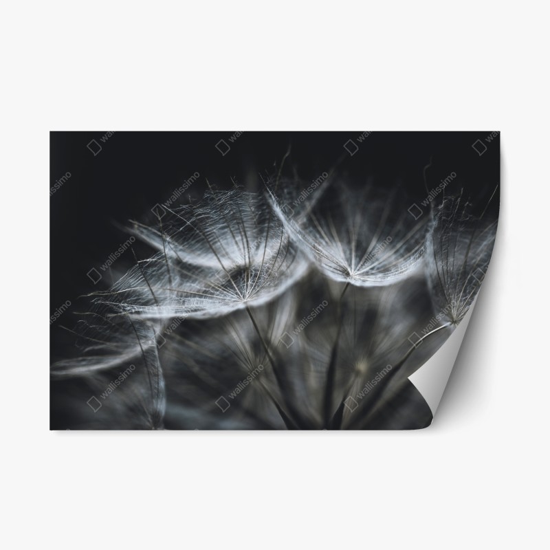 Repositionierbarer Aufkleber zartes beiges muster mit vögeln und ästen – Wallnifity®