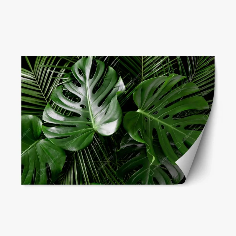 Repositionierbarer Aufkleber üppige monstera-blätter – Wallnifity® Repositionierbarer Aufkleber üppige monstera-blätter – Wallnifity®