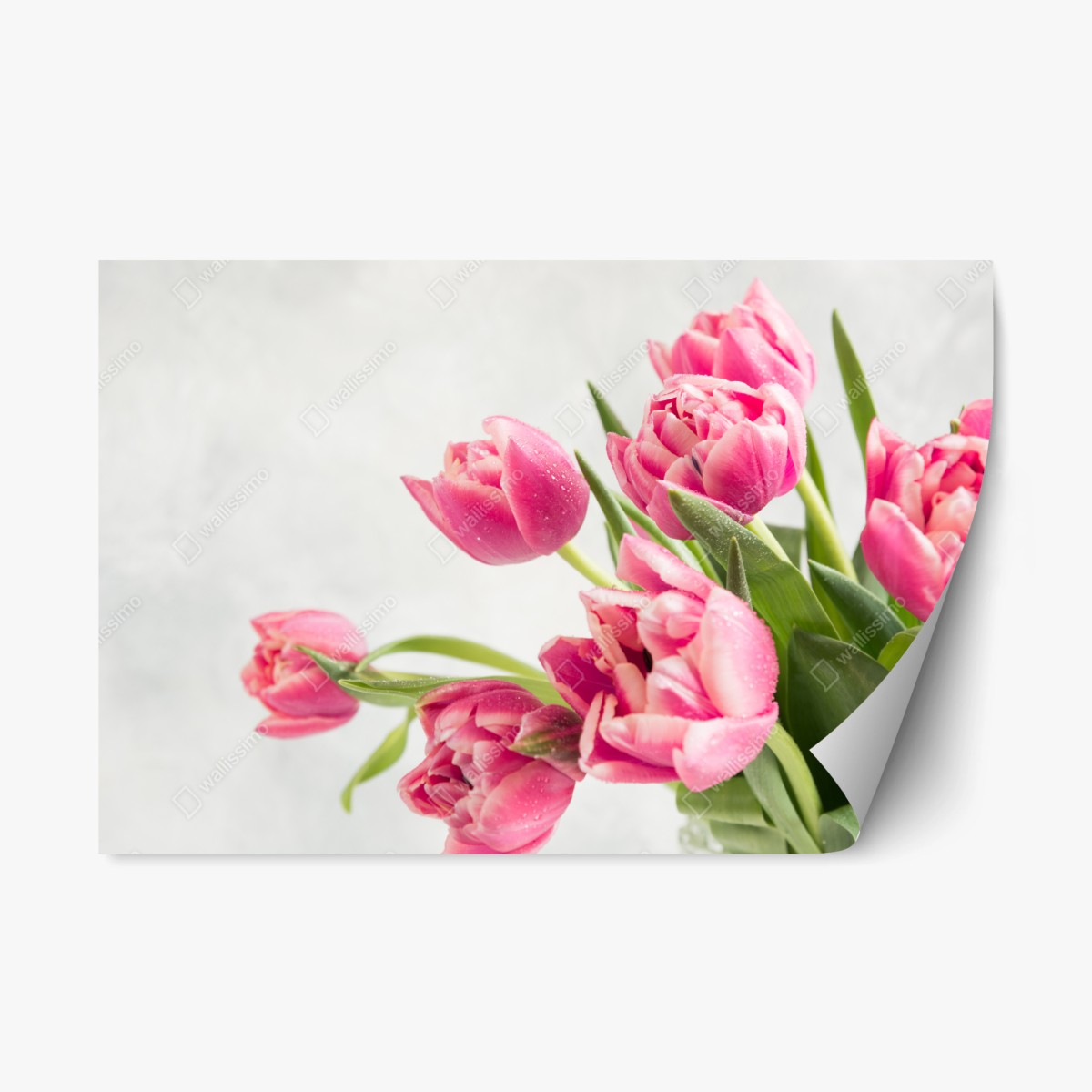 Repositionierbarer Aufkleber eleganter strauß rosa tulpen – Wallnifity®
