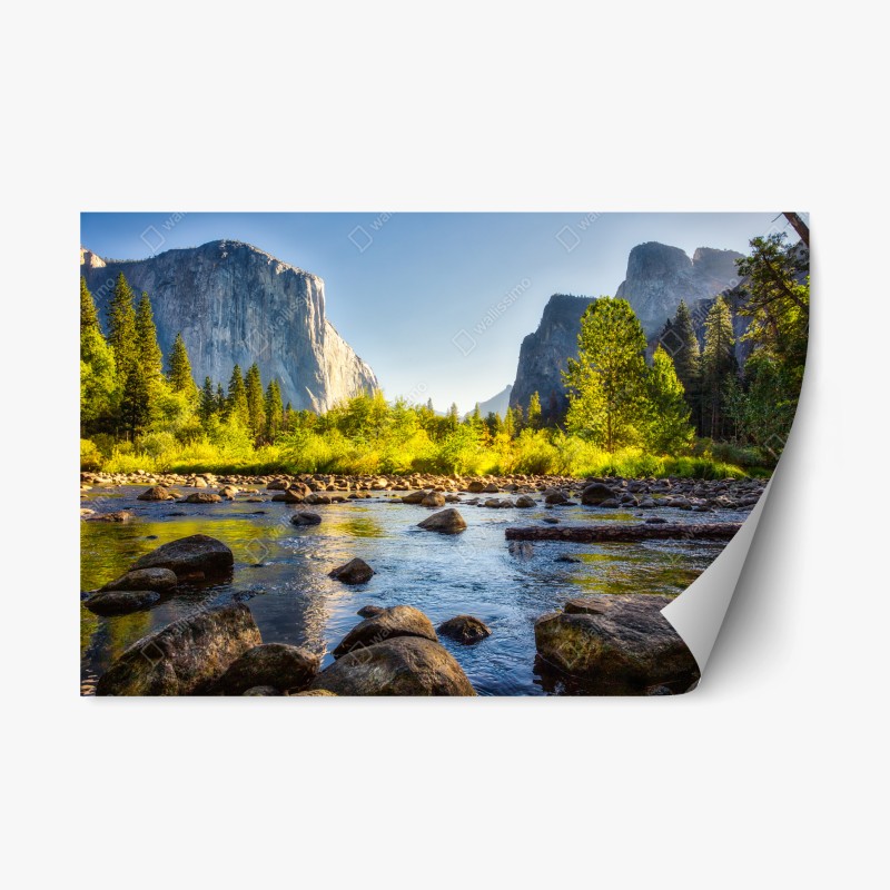 Repositionierbarer Aufkleber zarte löwenzahn-aufnahme in sanftem blau – Wallnifity®