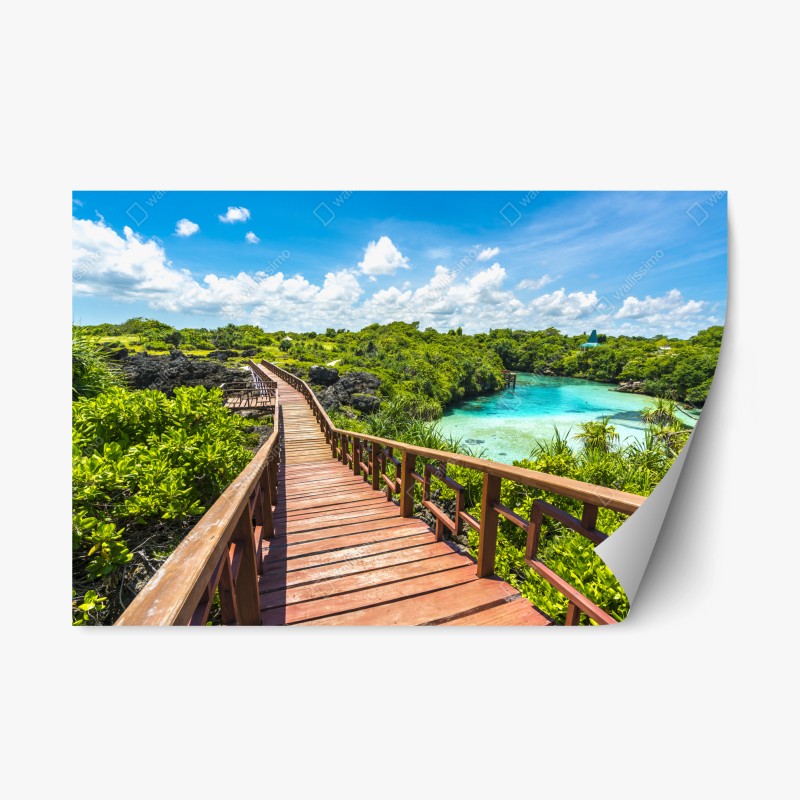 Repositionierbarer Aufkleber sonnenbeschienener moosiger waldpfad – Wallnifity®