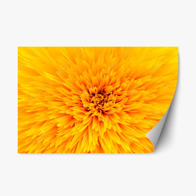 Repositionierbarer Aufkleber türkis wellenmuster für das interieur – Wallnifity®