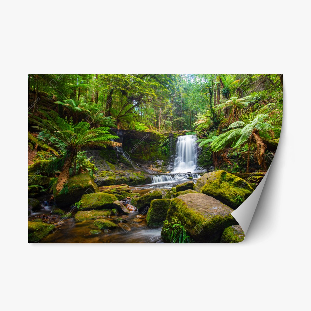 Repositionierbarer Aufkleber üppiger waldwasserfall – Wallnifity®