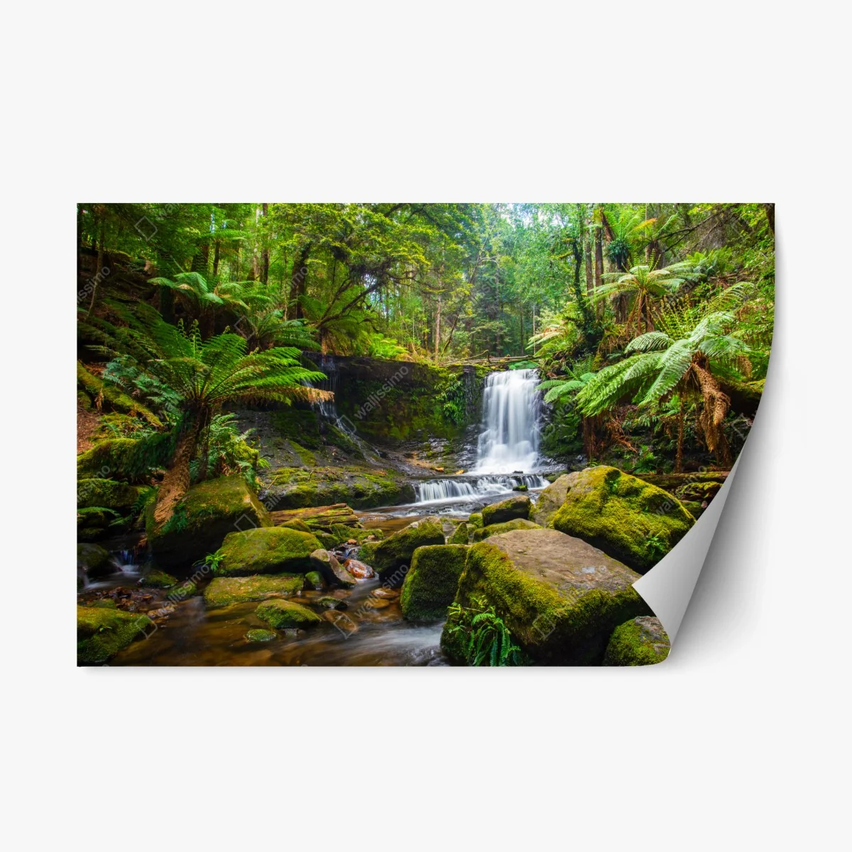 Repositionierbarer Aufkleber üppiger waldwasserfall – Wallnifity® Repositionierbarer Aufkleber üppiger waldwasserfall – Wallnifity®