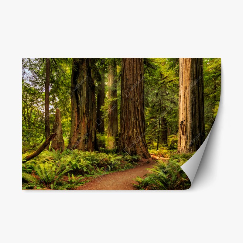 Repositionierbarer Aufkleber Neptun klassisches standbild in monochrom – Wallnifity®