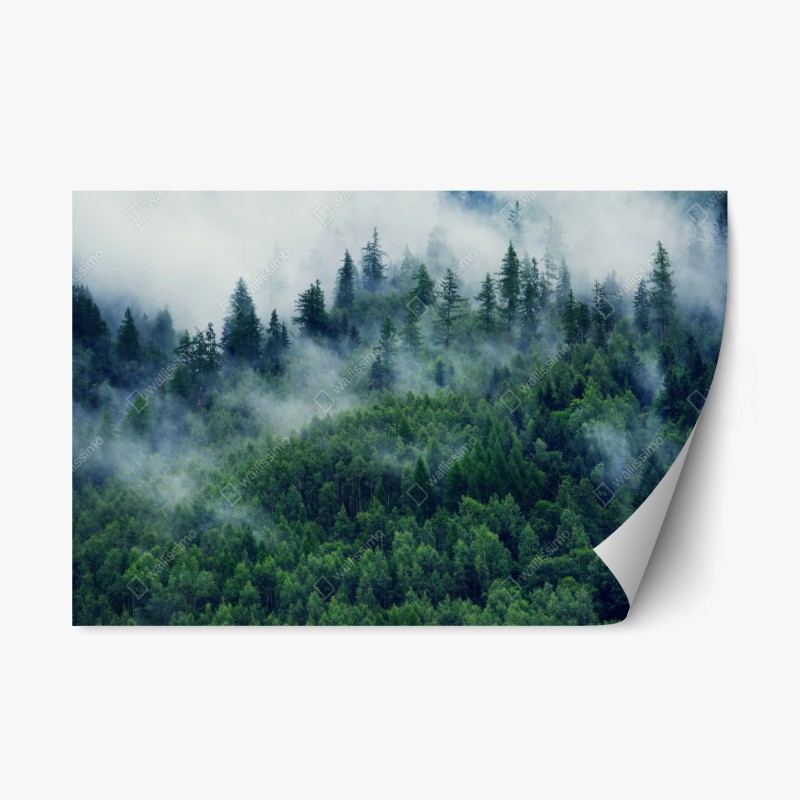 Repositionierbarer Aufkleber weg zum strand in Miami – Wallnifity®