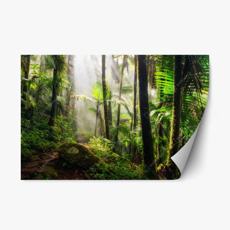 Repositionierbarer Aufkleber üppiges grünes farnlaub – Wallnifity®