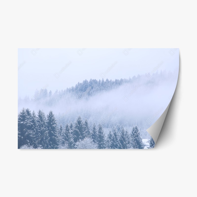 Repositionierbarer Aufkleber winternebel über nadelwald