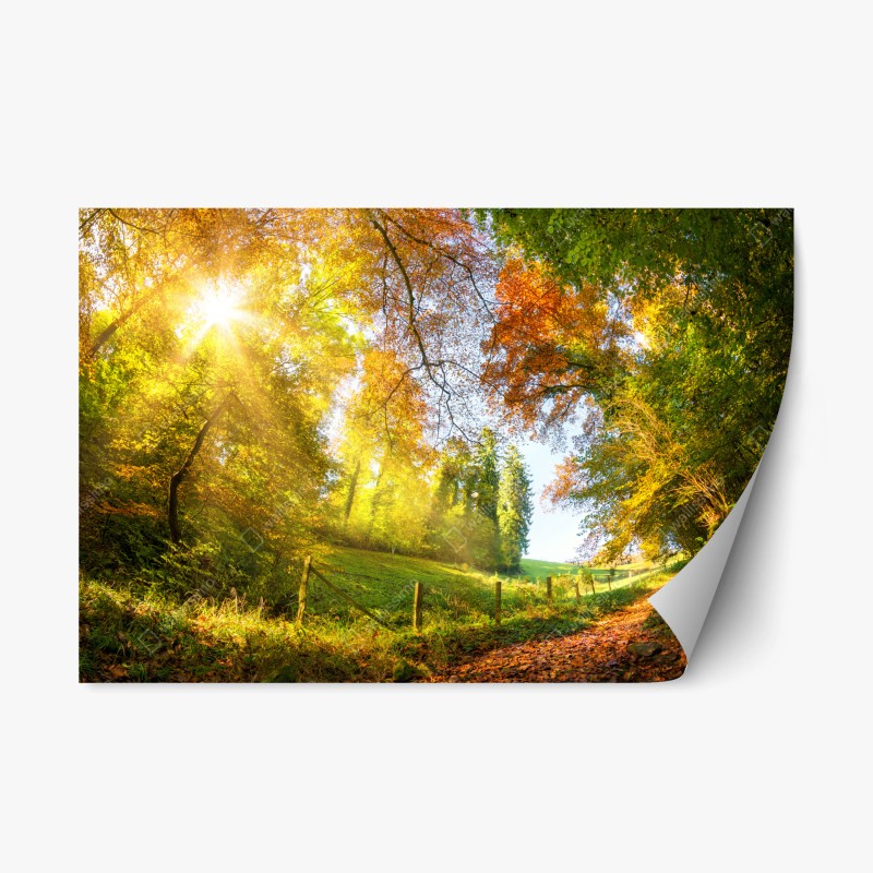 Repositionierbarer Aufkleber aquarellwale im pastellmuster fürs kinderzimmer – Wallnifity®