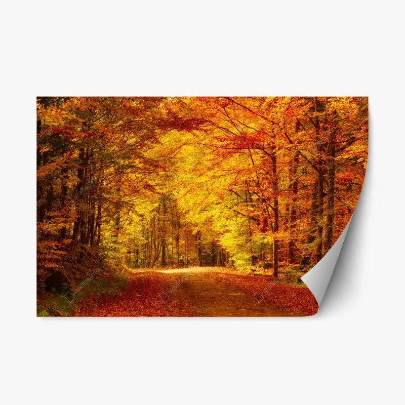 Repositionierbarer Aufkleber sonnenbeschienene bergstraße zum vulkan – Wallnifity®