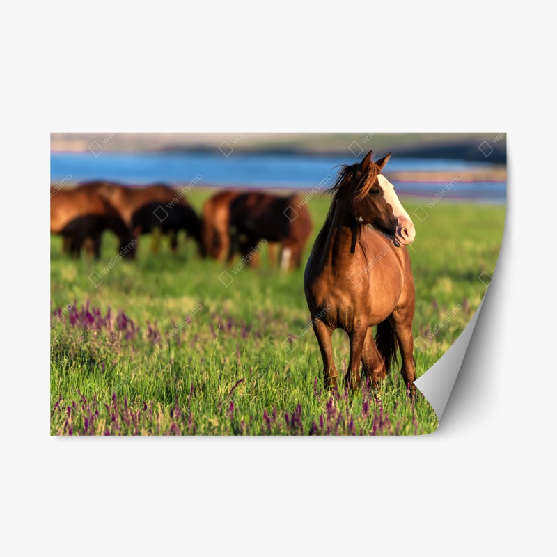 Repositionierbarer Aufkleber bier und hopfen nahtloses muster – Wallnifity®