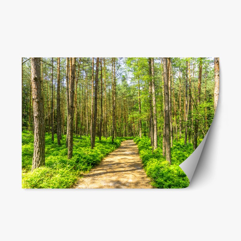 Repositionierbarer Aufkleber üppiges grünes farnlaub – Wallnifity®