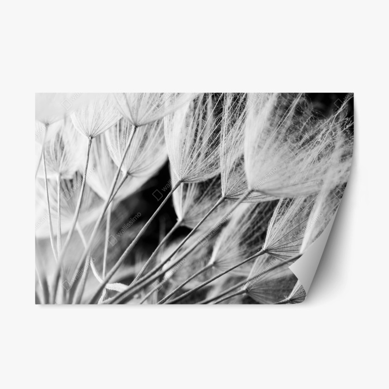 Repositionierbarer Aufkleber aquarell kaktusgarten muster – Wallnifity®