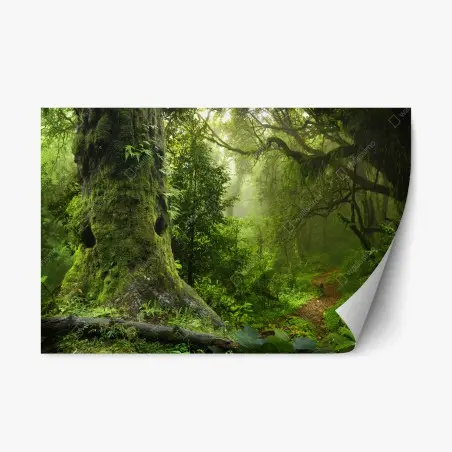 Repositionierbarer Aufkleber moosiger alter waldpfad – Wallnifity®