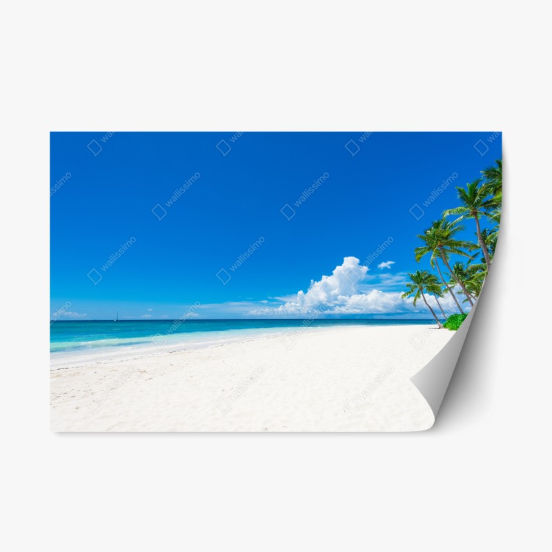 Repositionierbarer Aufkleber tropischer strand mit palmen