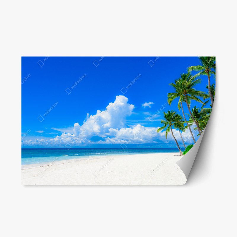 Repositionierbarer Aufkleber lebhaftes muster mit orangenscheiben – Wallnifity®