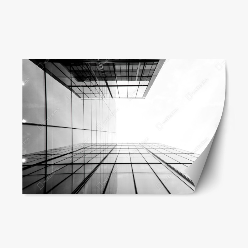 Repositionierbarer Aufkleber aquarell kaktusgarten muster – Wallnifity®