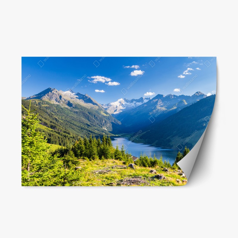 Repositionierbarer Aufkleber üppiges grünes farnlaub – Wallnifity®