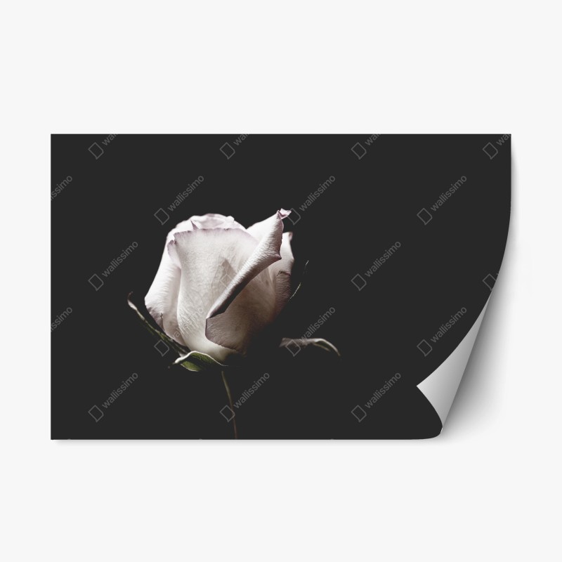 Repositionierbarer Aufkleber zartes beiges muster mit vögeln und ästen – Wallnifity®