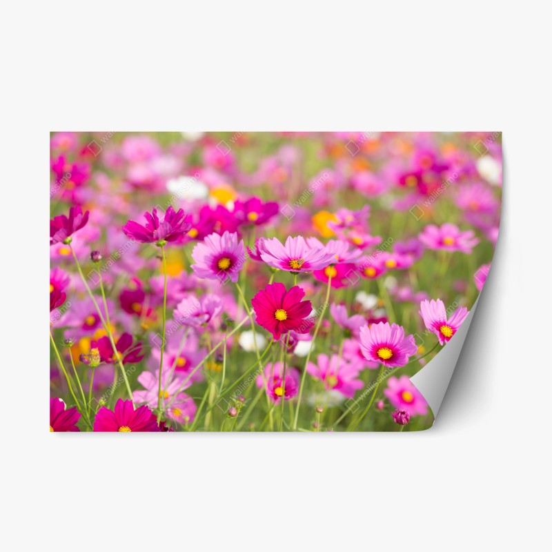 Repositionierbarer Aufkleber lebendige Skyline von Istanbul über dem Bosporus – Wallnifity®