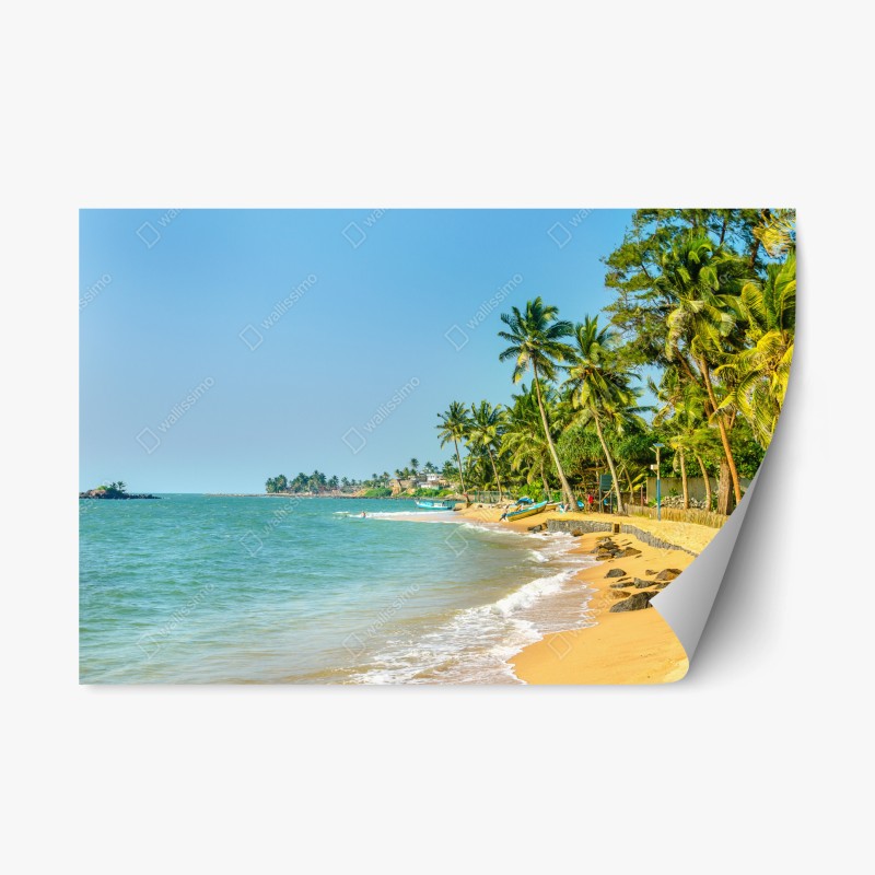 Repositionierbarer Aufkleber elegantes pfauen- und blumenmuster – Wallnifity®