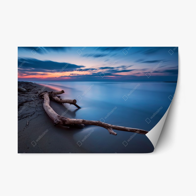 Repositionierbarer Aufkleber treibholz bei dämmerung am ruhigen strand