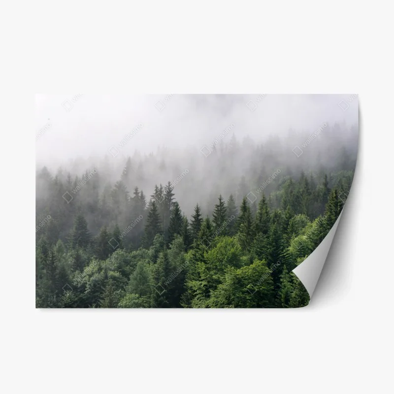 Repositionierbarer Aufkleber nebliger immergrüner wald panorama