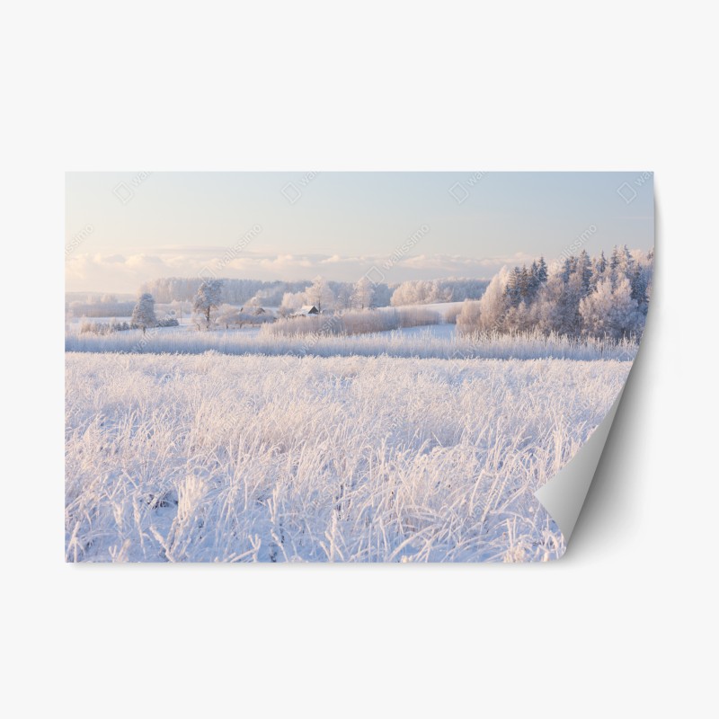 Repositionierbarer Aufkleber botanisches blattmuster in türkis und koralle – Wallnifity®