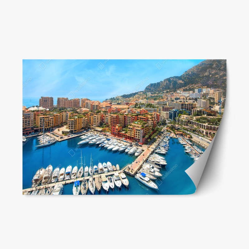 Repositionierbarer Aufkleber Neptun klassisches standbild in monochrom – Wallnifity®