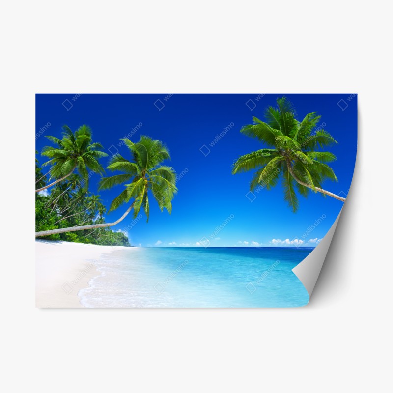 Repositionierbarer Aufkleber weg zum strand in Miami – Wallnifity®