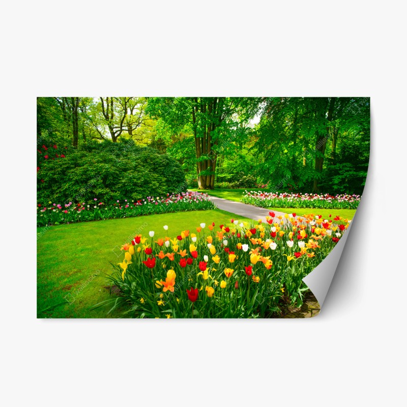 Repositionierbarer Aufkleber üppiges grünes farnlaub – Wallnifity®