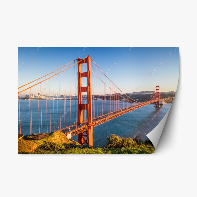 Repositionierbarer Aufkleber türkis wellenmuster für das interieur – Wallnifity®