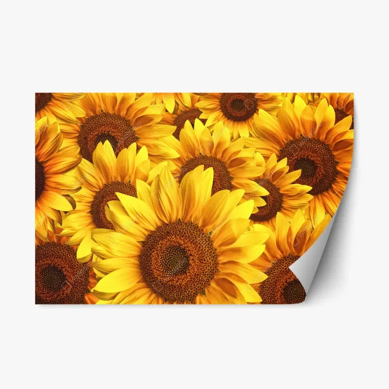 Repositionierbarer Aufkleber goldene sonnenblumen