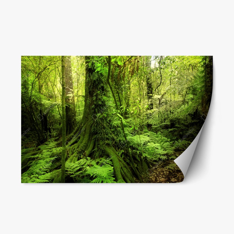 Repositionierbarer Aufkleber üppiger tropischer dschungel – Wallnifity® Repositionierbarer Aufkleber üppiger tropischer dschungel – Wallnifity®