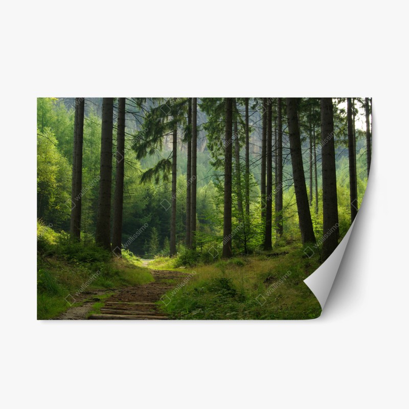 Repositionierbarer Aufkleber leuchtende tropische vögel und blumen – Wallnifity®