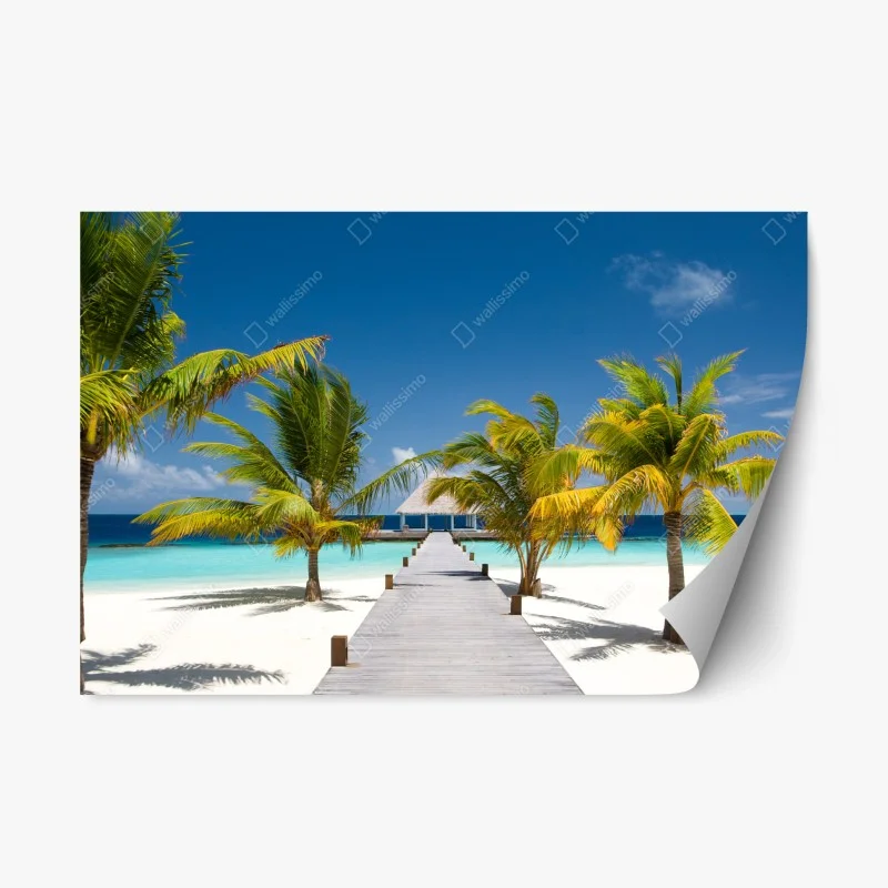 Repositionierbarer Aufkleber moosbedeckter waldbach im herbst – Wallnifity®