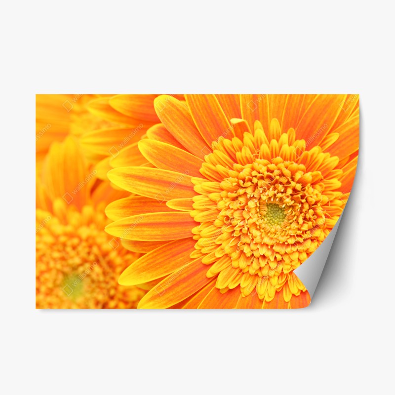 Repositionierbarer Aufkleber zartes beiges muster mit vögeln und ästen – Wallnifity®