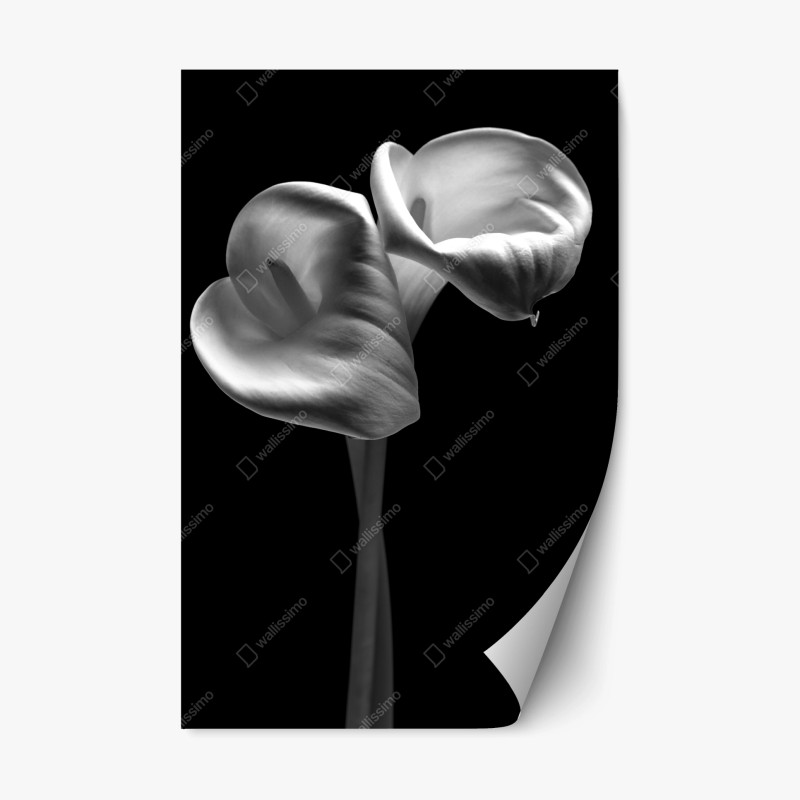 Repositionierbarer Aufkleber panorama des üppigen grünen wasserfalls – Wallnifity®