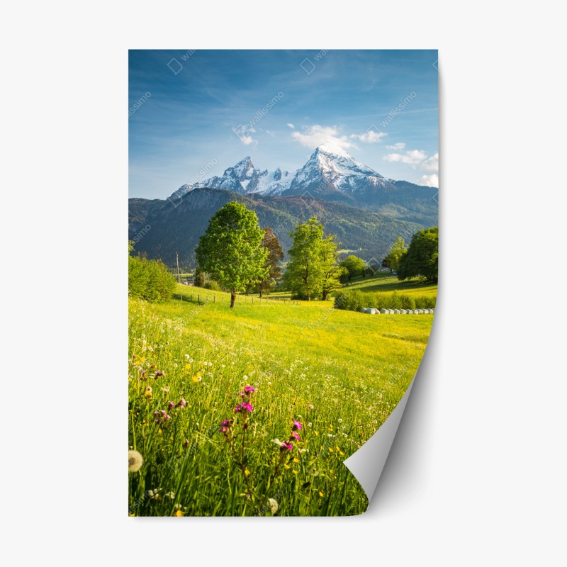 Repositionierbarer Aufkleber majestätischer jaguar in freier wildbahn – Wallnifity®