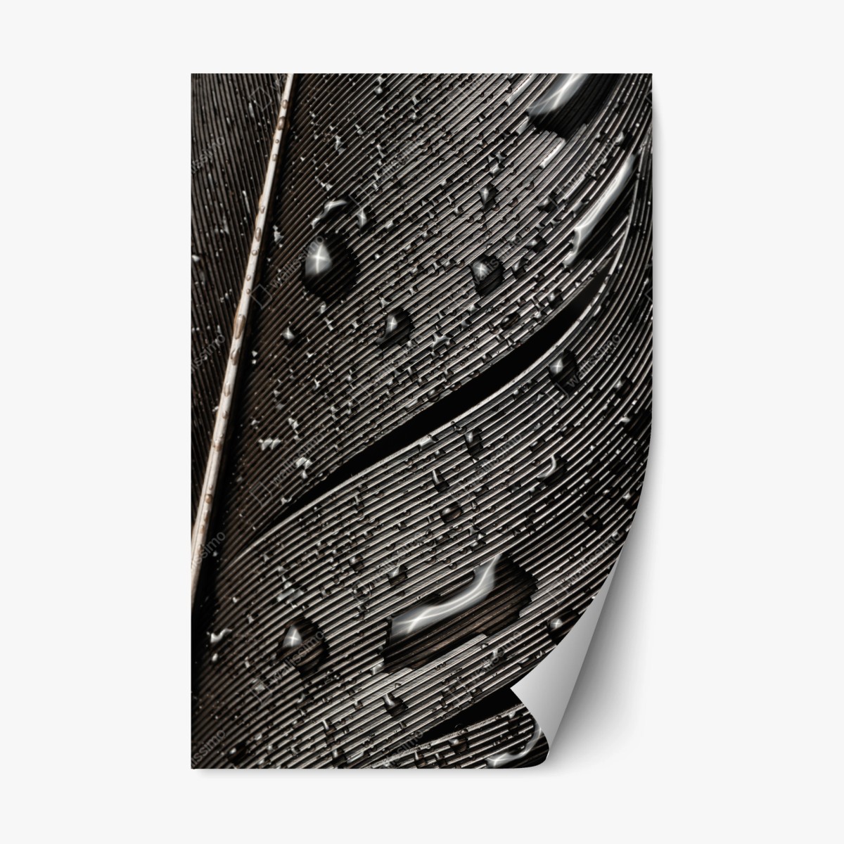 Repositionierbarer Aufkleber monochrome feder mit wassertropfen – Wallnifity®