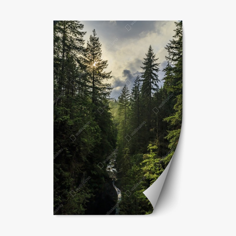 Repositionierbarer Aufkleber goldenes sonnenuntergangspanorama am strand mit Tafelberg – Wallnifity®