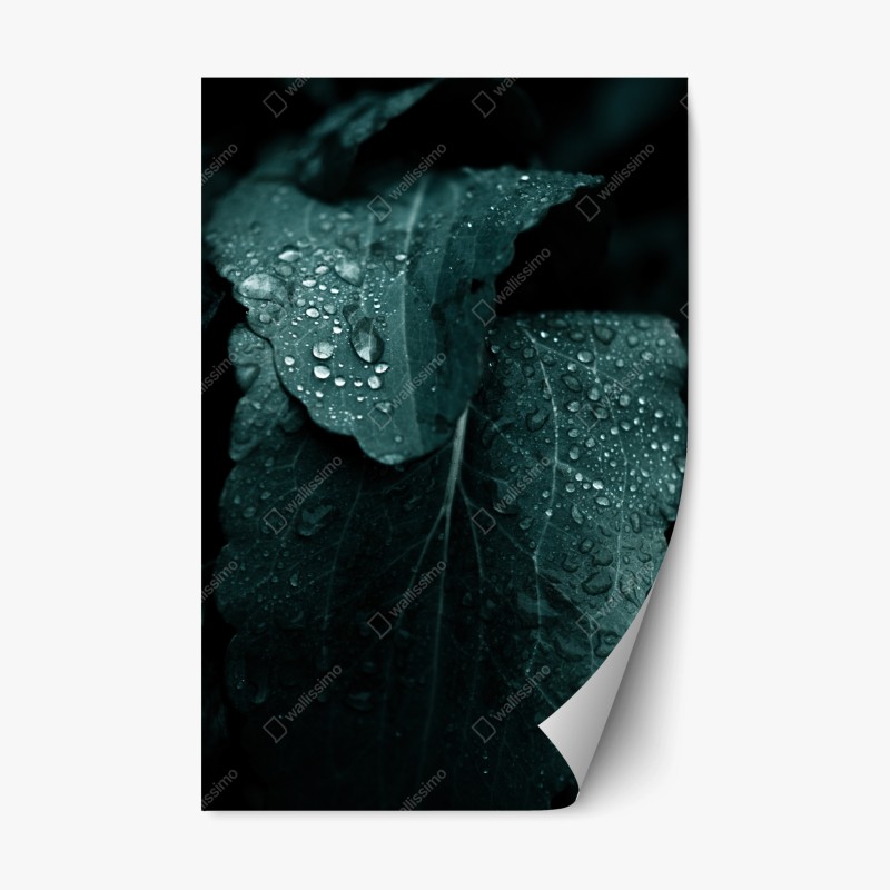 Repositionierbarer Aufkleber sonnige bucht mit türkisblauem wasser – Wallnifity®