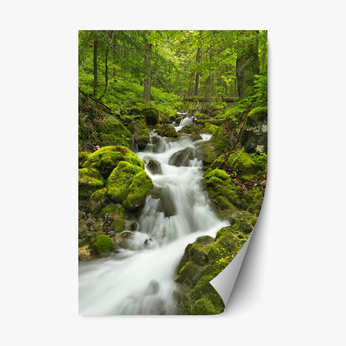 Repositionierbarer Aufkleber moosiger wasserfall – Wallnifity®